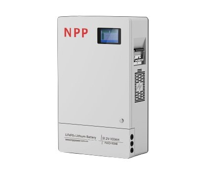 NSFG100P10